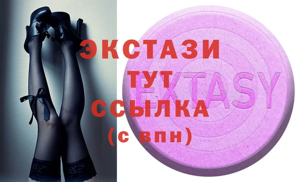 ECSTASY Богородицк